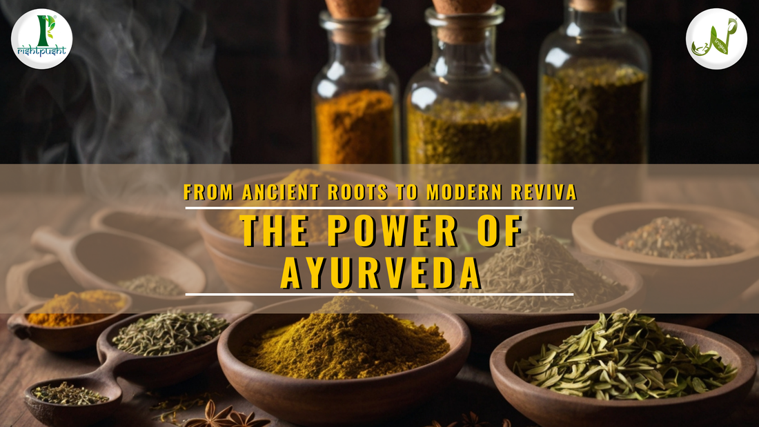 From Ancient Roots to Modern Revival: The Power of Ayurveda