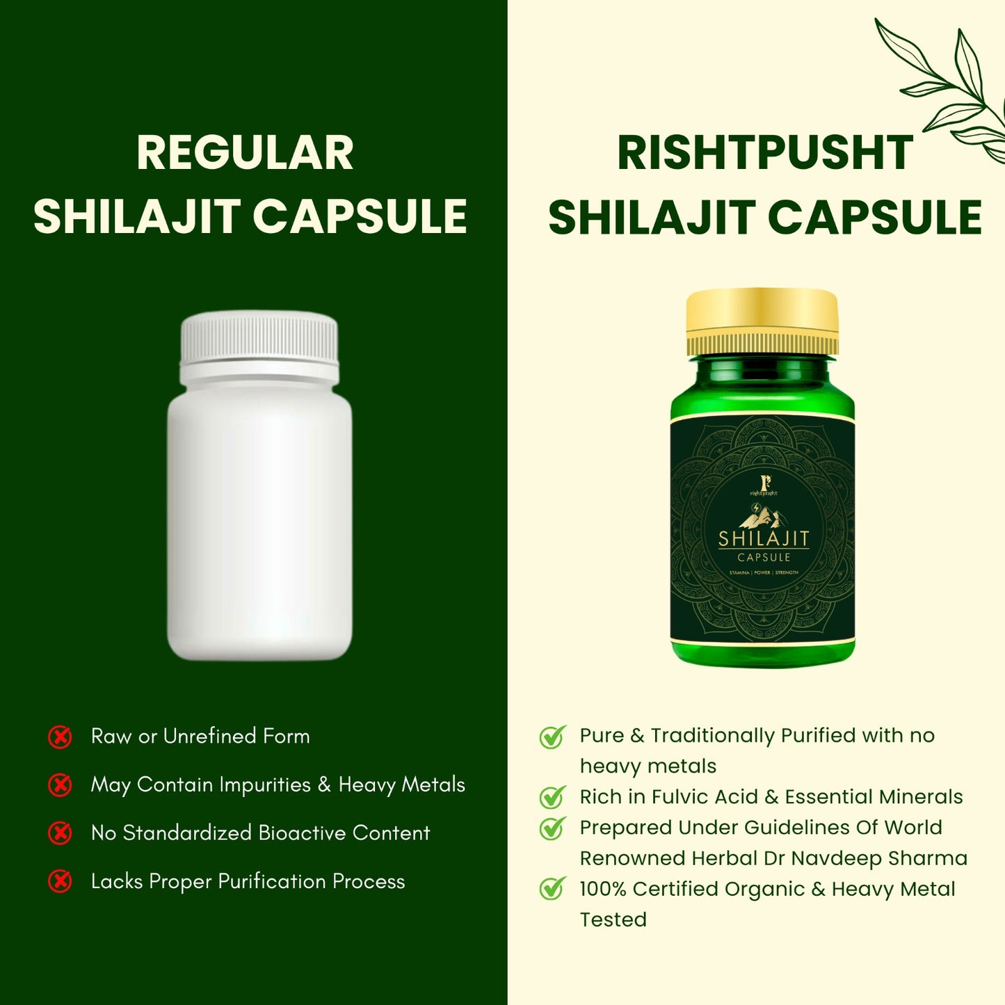 Shilajit Capsule