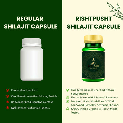 Shilajit Capsule