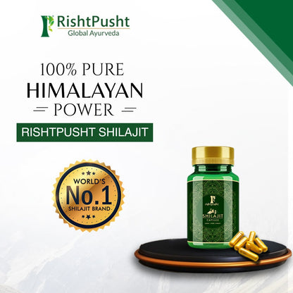 Shilajit Capsule