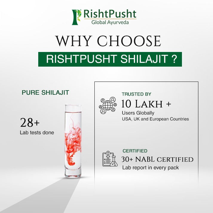 Shilajit Capsule