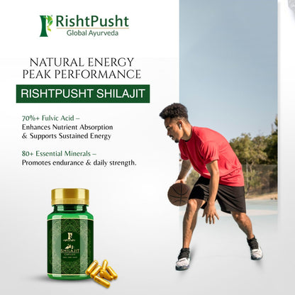 Shilajit Capsule