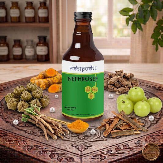 NEPHROSEF 450ML